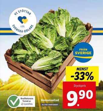 Lidl Romansallad erbjuda
