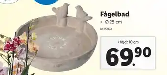 Fågelbad
