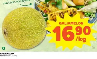 Galiamelon 1kg