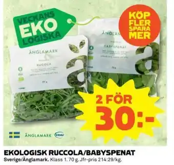 Coop Ekologisk Ruccola/Babyspenat 2x70g erbjuda