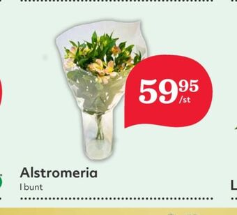 Hemköp Hemköp blommor erbjuda