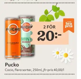 Pucko chokladmjölk