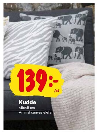 Kudde