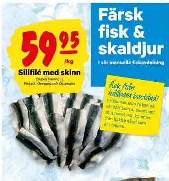 City Gross Sillfilé med skinn erbjuda