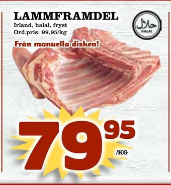 Supergrossen Lammframdel erbjuda