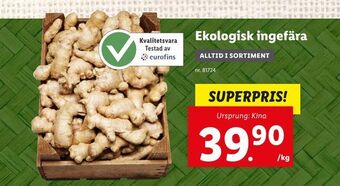 Lidl Ekologisk ingefära erbjuda
