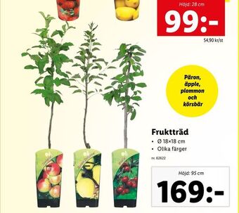 Lidl Fruktträd erbjuda