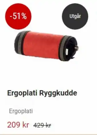 ERGOPLATI ergoplati ryggkudde