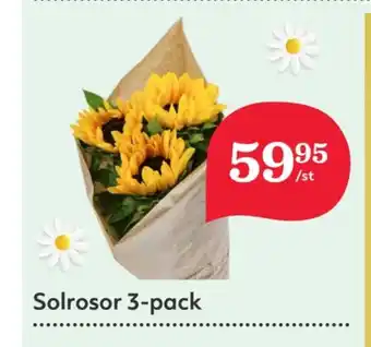 Hemköp Hemköp blommor erbjuda