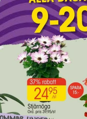 EKO Plantor erbjuda