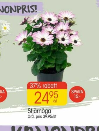 Plantor
