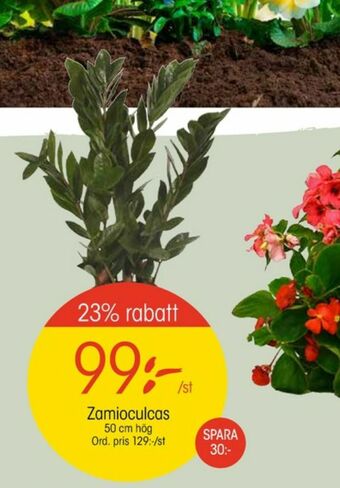 Plantor