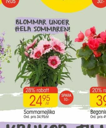 EKO Plantor erbjuda