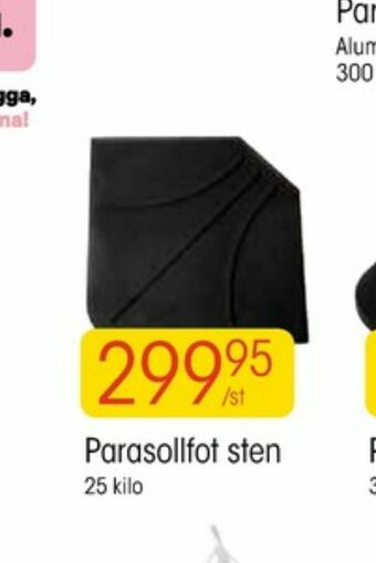 Parasollfot