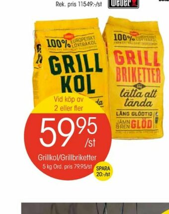 Favorit Grillkol/briketter