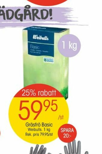 Weibull Gräsfrö
