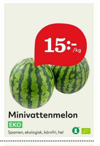 Vattenmelon