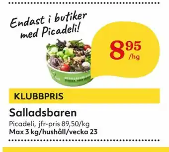 PicaDeli Sallader