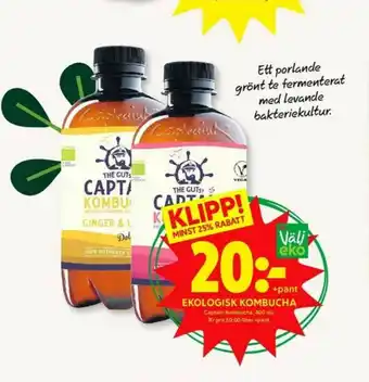 The Gutsy Captain Kombucha