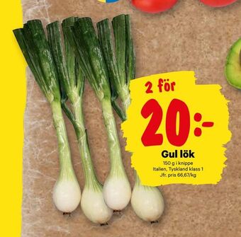 City Gross Gul lök erbjuda