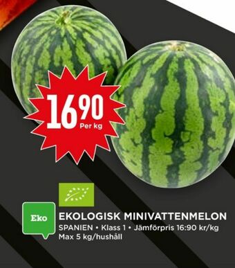 Willys Vattenmelon erbjuda