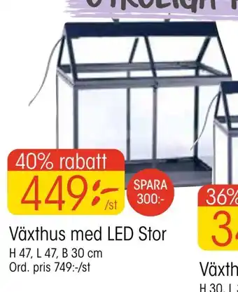 Växthus med LED Stor