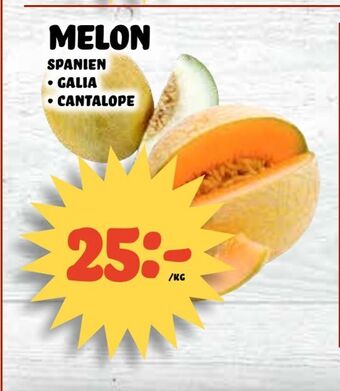 Melon