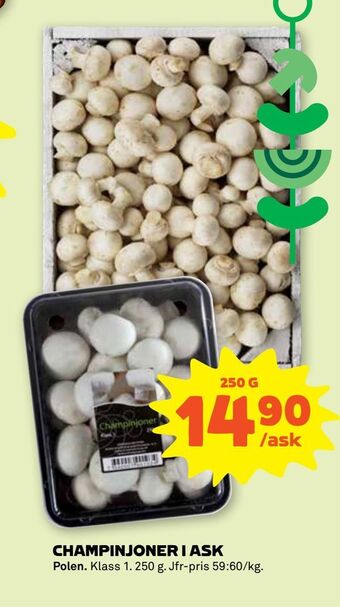 Stora Coop Champinjoner i ask erbjuda