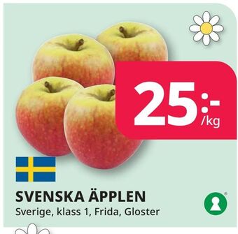 Tempo Svenska äpplen erbjuda