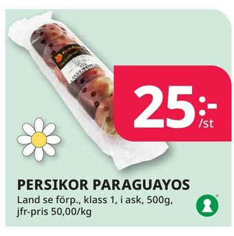 Tempo Persikor paraguayos erbjuda