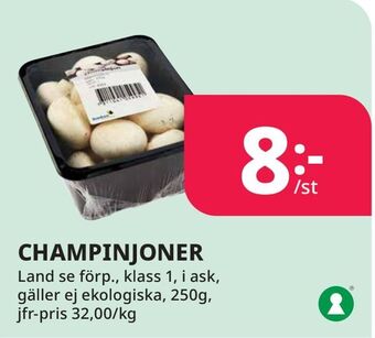 Tempo Champinjoner erbjuda