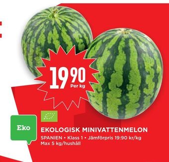 Willys Hemma Ekologisk minivattenmelon erbjuda