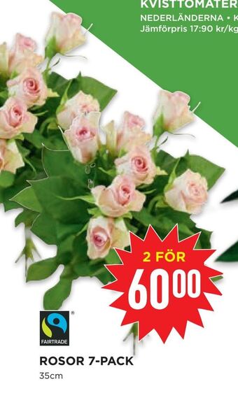 Willys Hemma Rosor 7-pack erbjuda