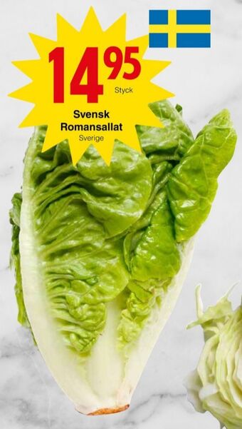 Matöppet Sprite sallat erbjuda