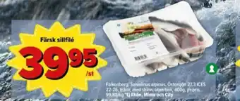 Östenssons Falkenberg seafood sillfilé erbjuda