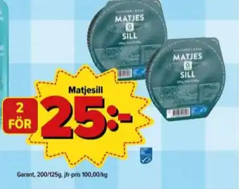 Garant matjessill