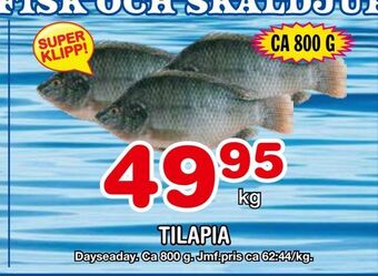 Nya Pulsen Tilapia erbjuda
