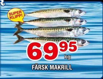 Nya Pulsen Färsk makrill erbjuda
