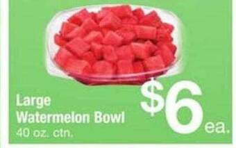 ACME Large Watermelon Bowl offer