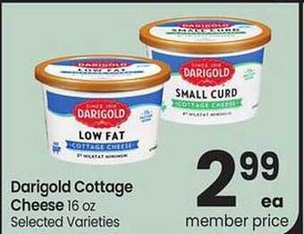 Safeway Darigold Cottage Cheese offer