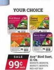 Ace Hardware Ace Bird Suet 11 Oz offer