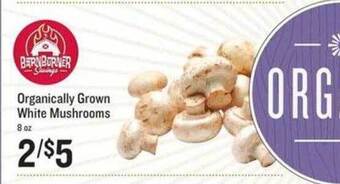 Lowes Foods Organically Grown White Mushrooms offer