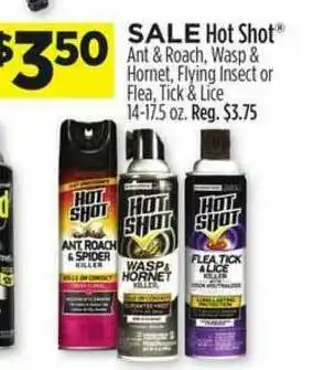 Dollar General Hot Shot Ant & Roach Wasp & Hornet Flying Insect Or Flea Tick & Lice offer