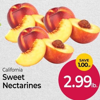 Roche Bros Sweet Nectarines offer