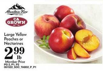 Pavilions Large Yellow Peaches Or Nectarines offer