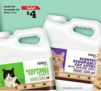 Food 4 Less Family Pet Scoopable Cat Litter offer