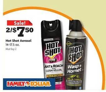 Family Dollar Hot Shot Aerosol offer
