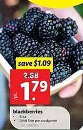 Lidl Blackberries offer
