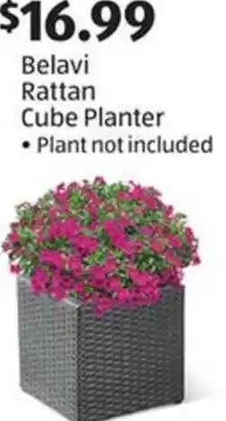 Aldi Rattan Cube Planter offer