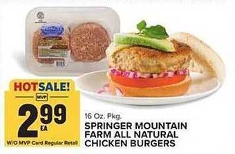 Food Lion Springer Mountain Farm All Natural Chicken Burgers offer
